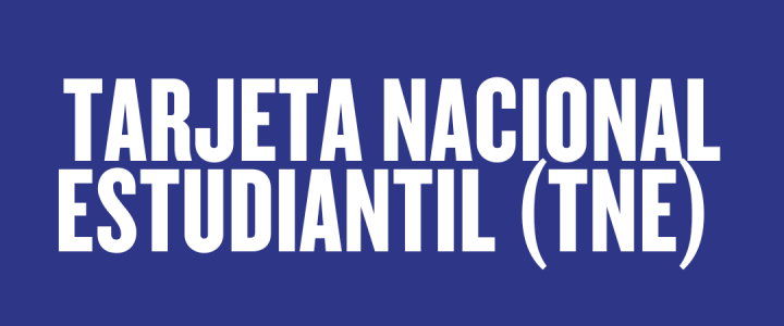 Proceso de Revalidación Tarjeta Nacional Estudiantil (TNE) 2025